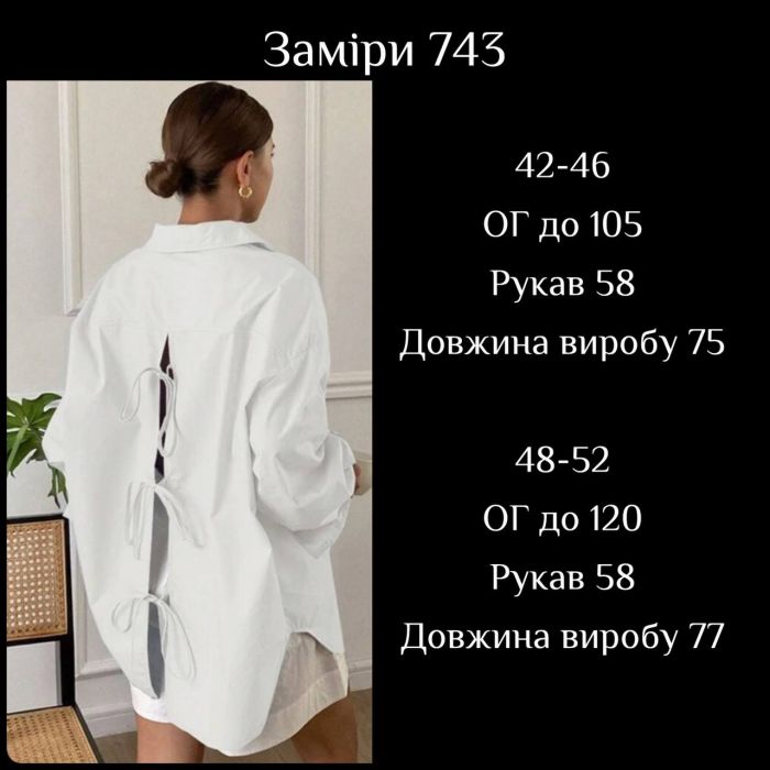 Стильна сорочка з декоративною спинкою білого кольору